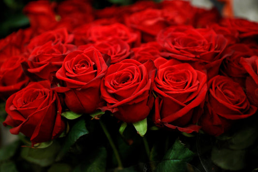 bunch of roses